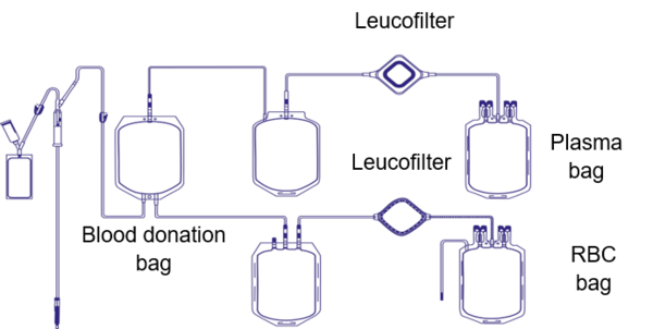 Example of a multi-bag system for whole blood donations