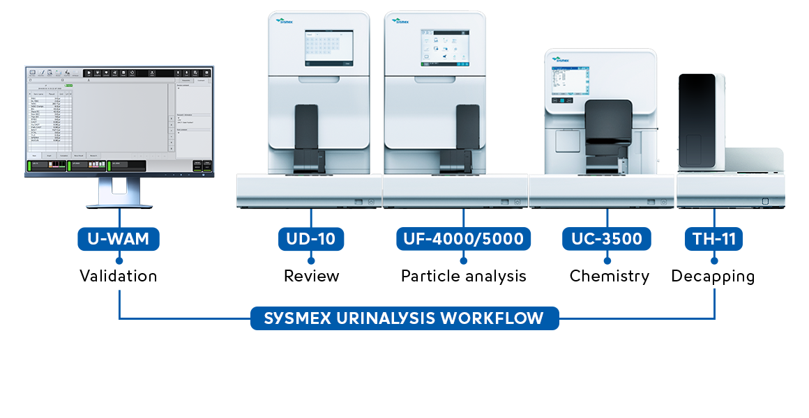 [Sysmex MEA (english)] Sysmex urinalysis workflow (fully automated)