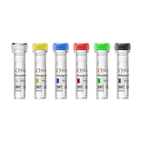 [Sysmex MEA (english)] MammaTyper Vials 